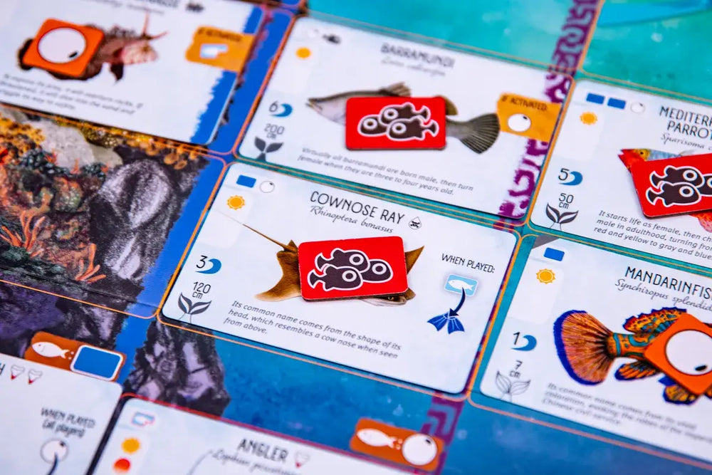 Finspan (EN) - Stonemaier Games - Board Games