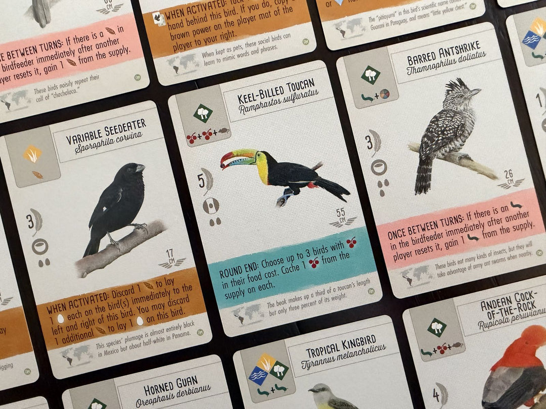 Wingspan: Americas (EN)