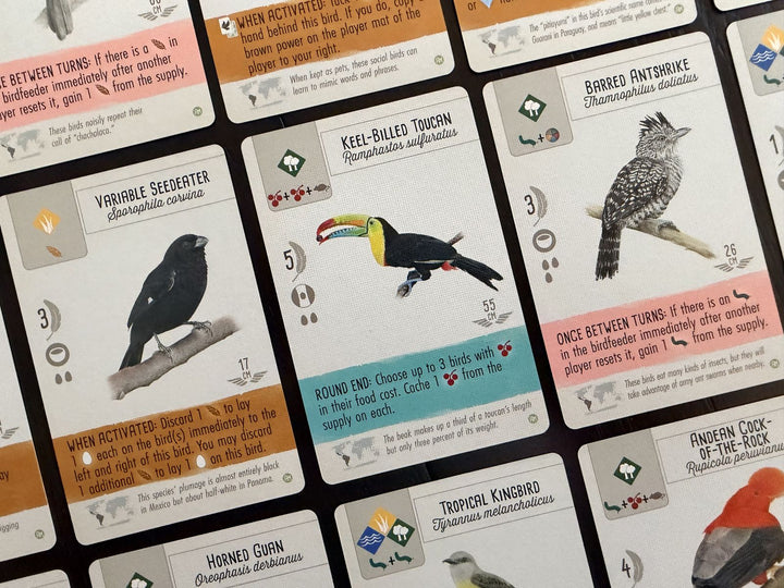 Wingspan: Americas (EN)