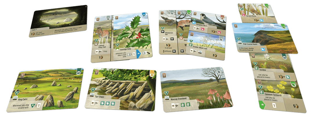 Forest Shuffle: Dartmoor – Exmoor (EN)