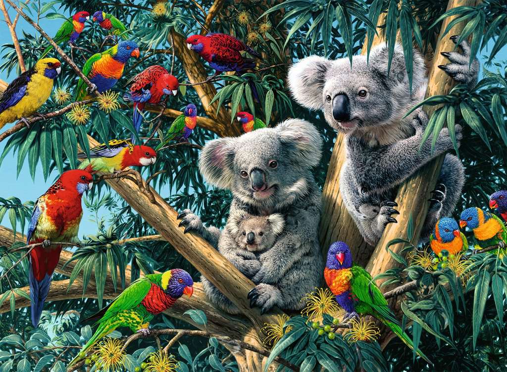 Puzzle: Koalas in a Tree (500 pieces)