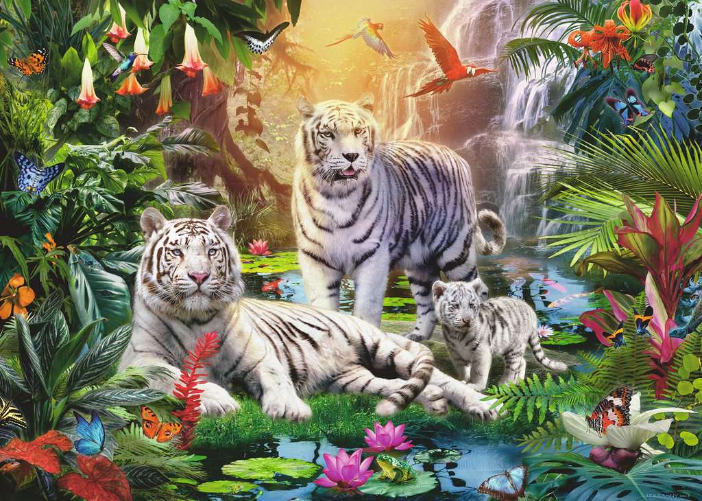 Puzzle: Family of White Tigers (1000)