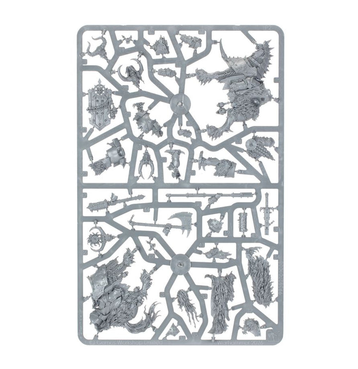 Warhammer Old World: Warriors of Chaos - Champions of Chaos