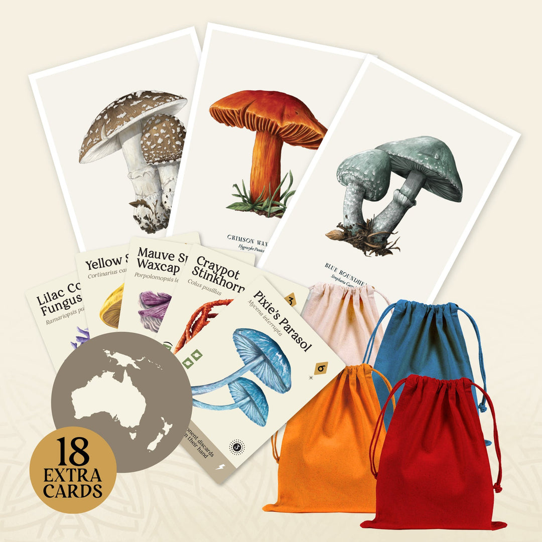 Mycelia: Deluxe Edition (EN)