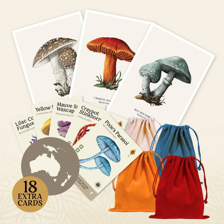 Mycelia: Deluxe Edition (EN)