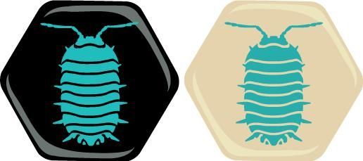 Hive: Assel (DE)