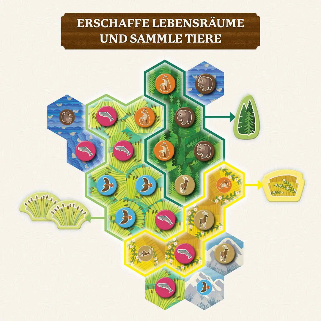 Cascadia: Junior (DE) - Kosmos - Board Games
