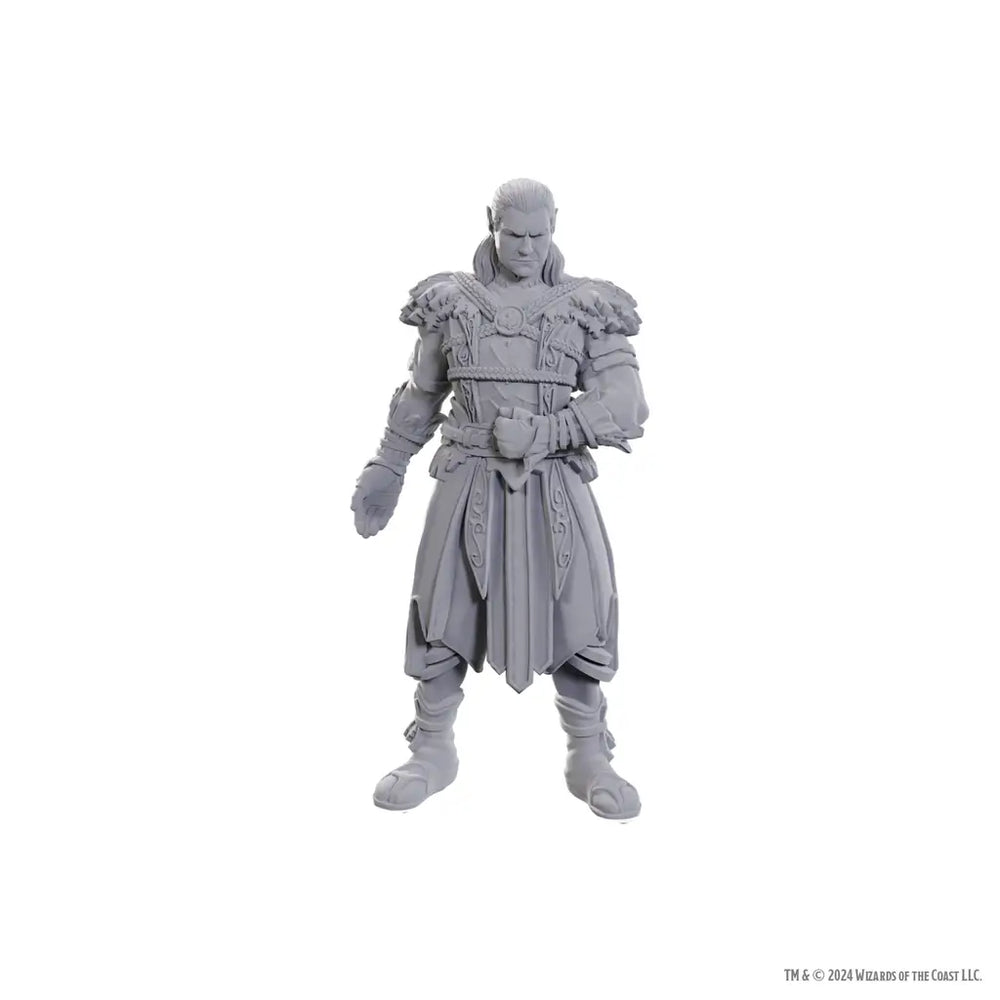 Nolzurs Miniatures: Dungeons & Dragons - Special Edition - Baldurs Gate 3 - Jaheira & Halsin - WizKids - Roleplaying