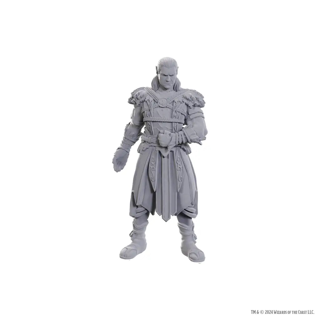 Nolzurs Miniatures: Dungeons & Dragons - Special Edition - Baldurs Gate 3 - Jaheira & Halsin - WizKids - Roleplaying