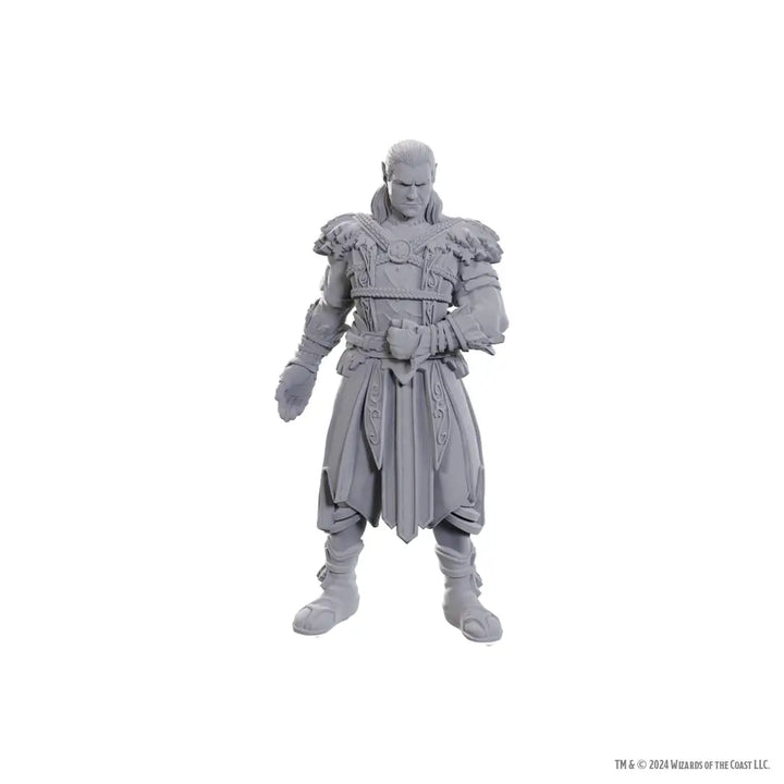 Nolzurs Miniatures: Dungeons & Dragons - Special Edition - Baldurs Gate 3 - Jaheira & Halsin - WizKids - Roleplaying