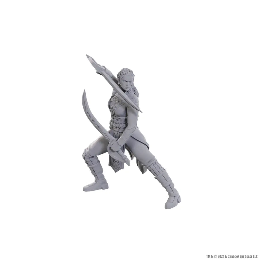 Nolzurs Miniatures: Dungeons & Dragons - Special Edition - Baldurs Gate 3 - Jaheira & Halsin - WizKids - Roleplaying