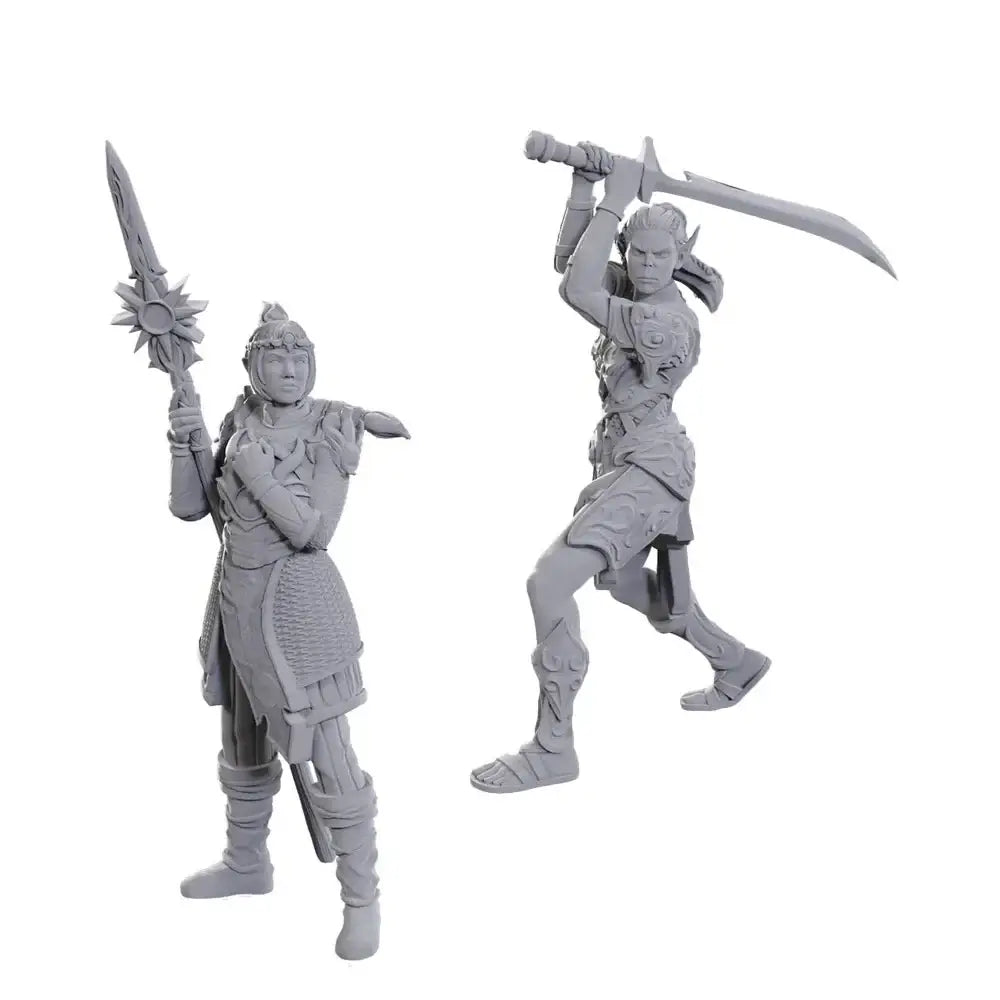 Nolzurs Miniatures: Dungeons & Dragons - Special Edition - Baldurs Gate 3 - Laezel & Shadowheart - WizKids