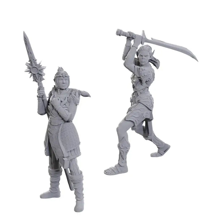 Nolzurs Miniatures: Dungeons & Dragons - Special Edition - Baldurs Gate 3 - Laezel & Shadowheart - WizKids
