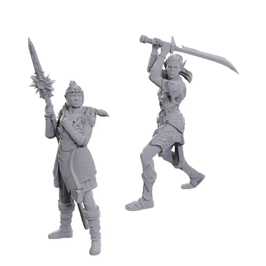 Nolzurs Miniatures: Dungeons & Dragons - Special Edition - Baldurs Gate 3 - Laezel & Shadowheart - WizKids