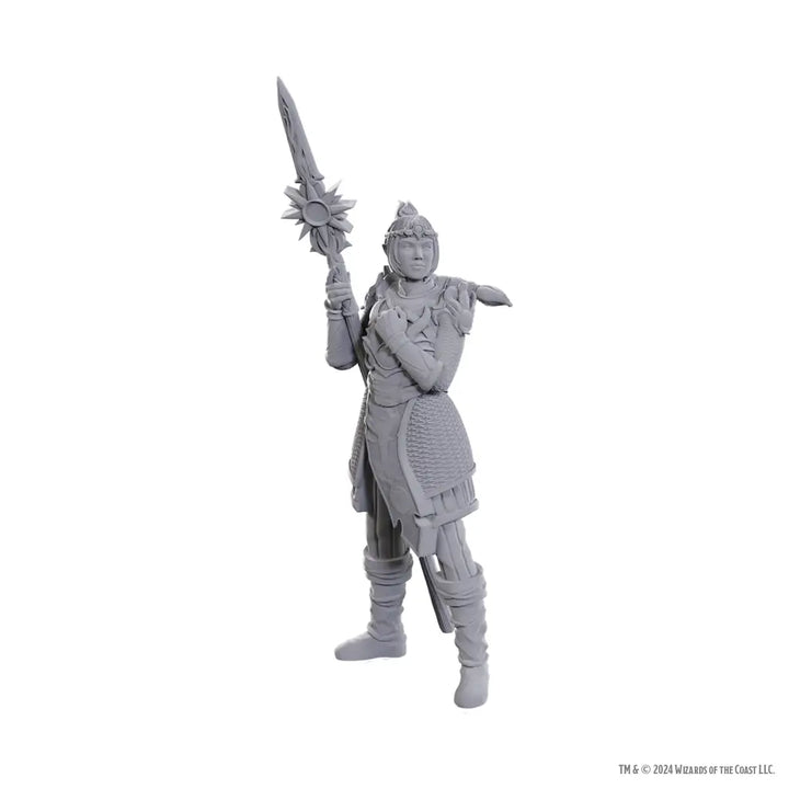 Nolzurs Miniatures: Dungeons & Dragons - Special Edition - Baldurs Gate 3 - Laezel & Shadowheart - WizKids