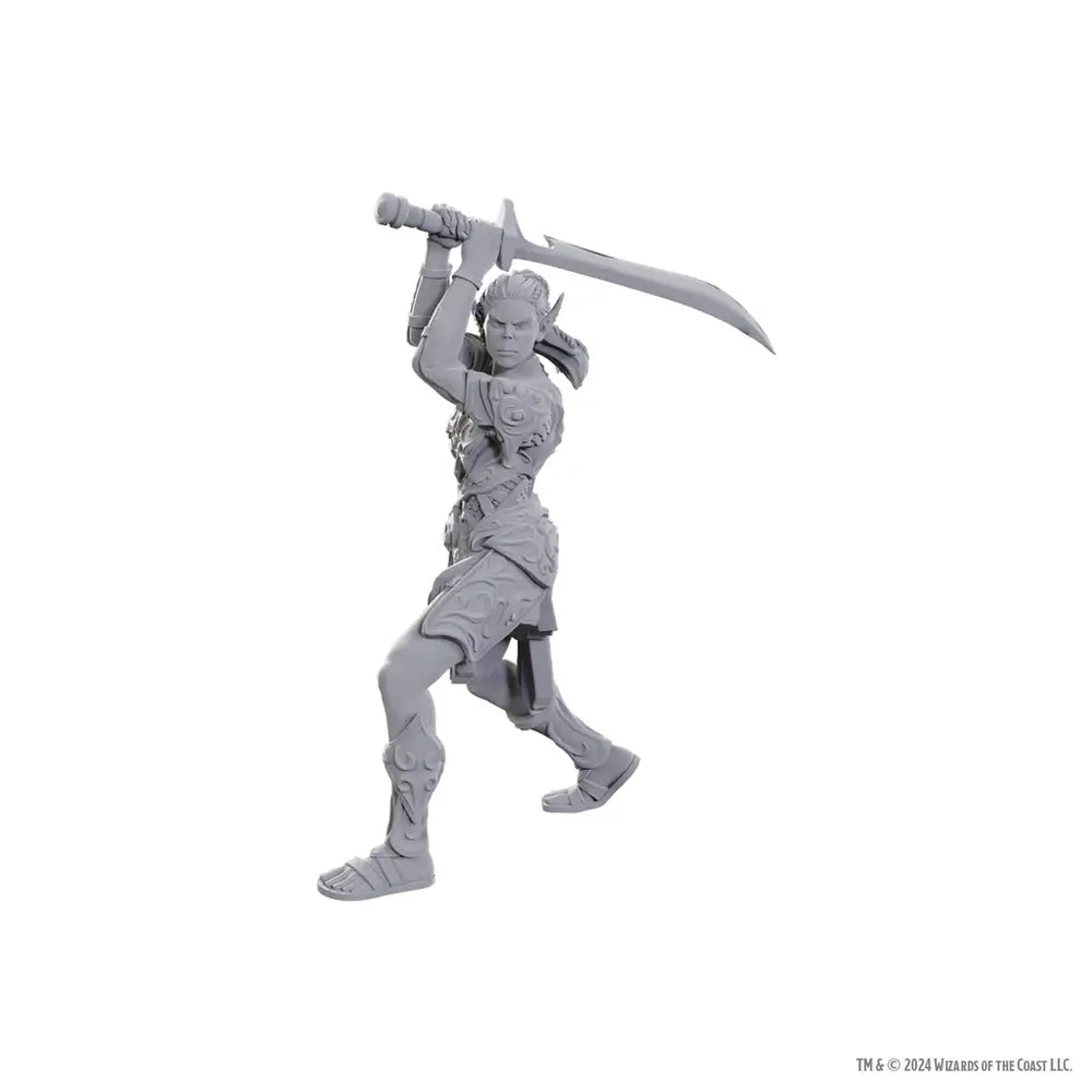 Nolzurs Miniatures: Dungeons & Dragons - Special Edition - Baldurs Gate 3 - Laezel & Shadowheart - WizKids