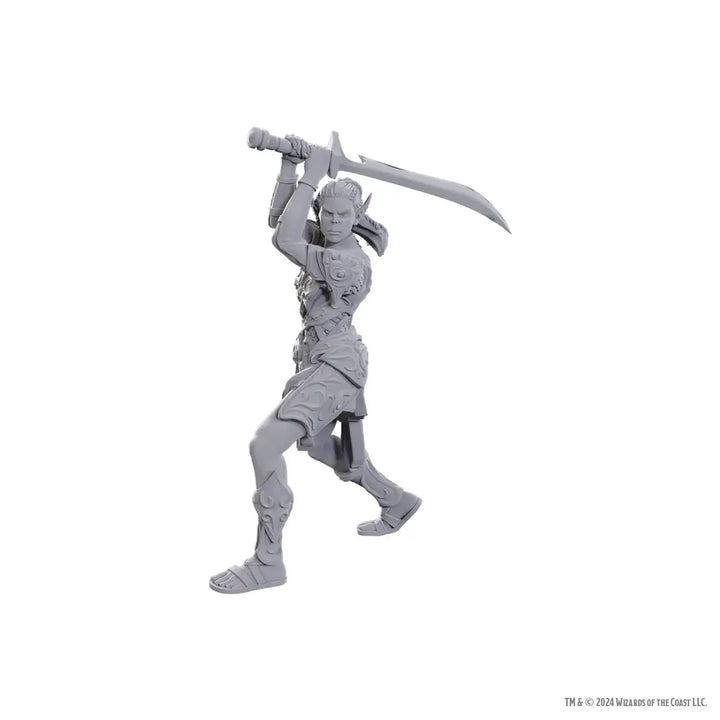 Nolzurs Miniatures: Dungeons & Dragons - Special Edition - Baldurs Gate 3 - Laezel & Shadowheart - WizKids