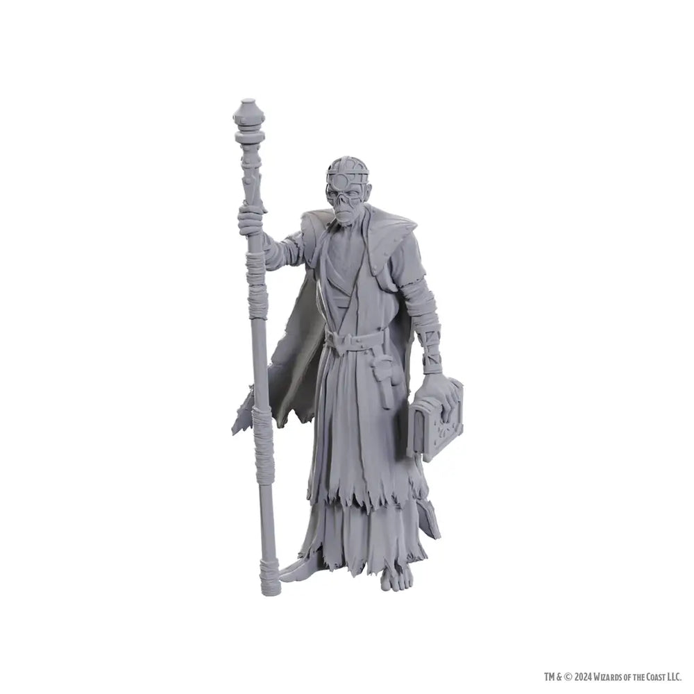 Nolzurs Miniatures: Dungeons & Dragons - Special Edition - Baldurs Gate 3 - Volo & Withers - WizKids - Roleplaying Games