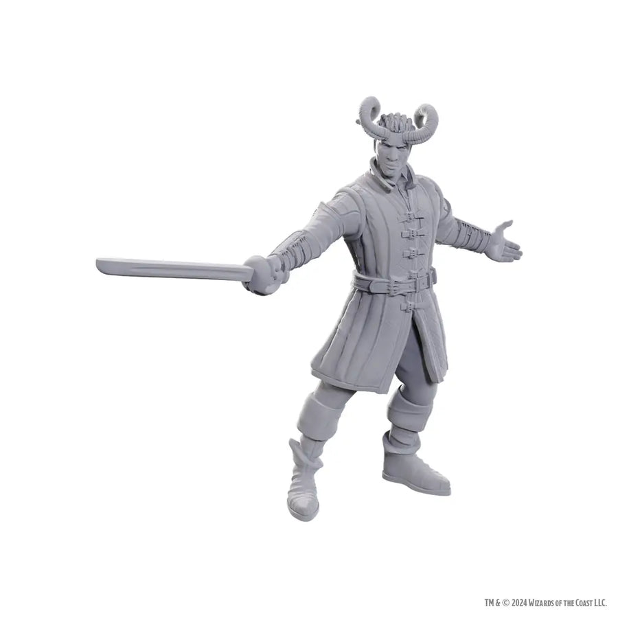 Nolzurs Miniatures: Dungeons & Dragons - Special Edition - Baldurs Gate 3 - Wyll & Karlach - WizKids - Roleplaying Games