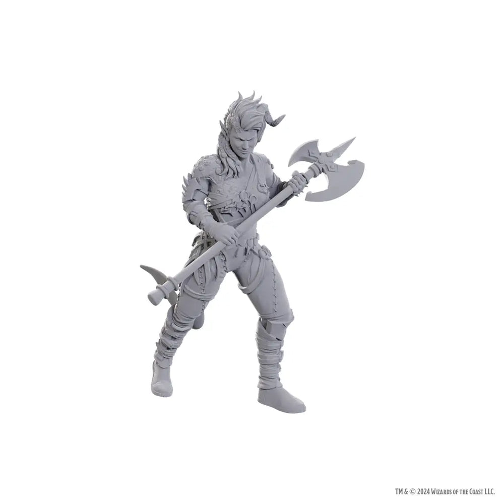 Nolzurs Miniatures: Dungeons & Dragons - Special Edition - Baldurs Gate 3 - Wyll & Karlach - WizKids - Roleplaying Games
