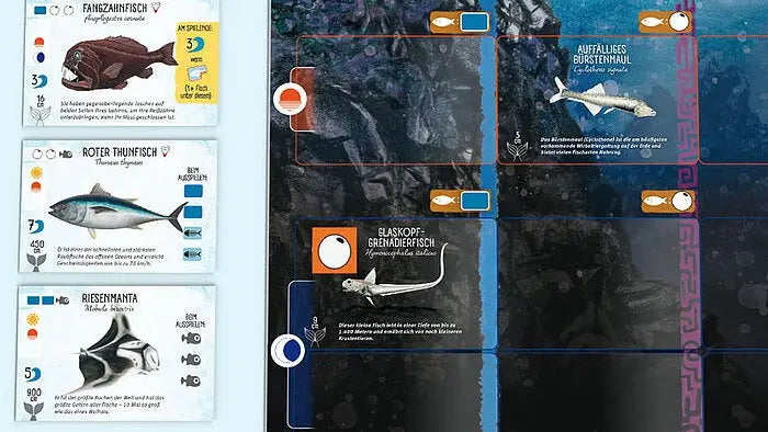 Flossenschlag (DE) - Feuerland - Board Games