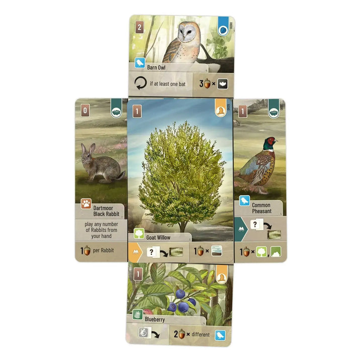 Forest Shuffle: Dartmoor (EN) - Lookout Games - Board Games