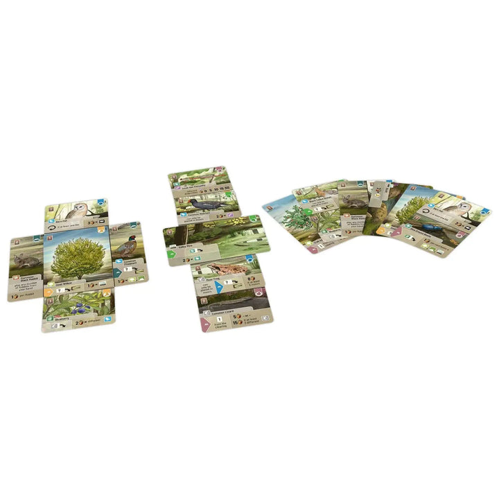 Forest Shuffle: Dartmoor (EN) - Lookout Games - Board Games