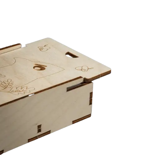 Inlay: Root - Laserox - Accessories