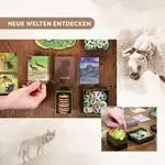 Natur (DE) - HABA - Board Games