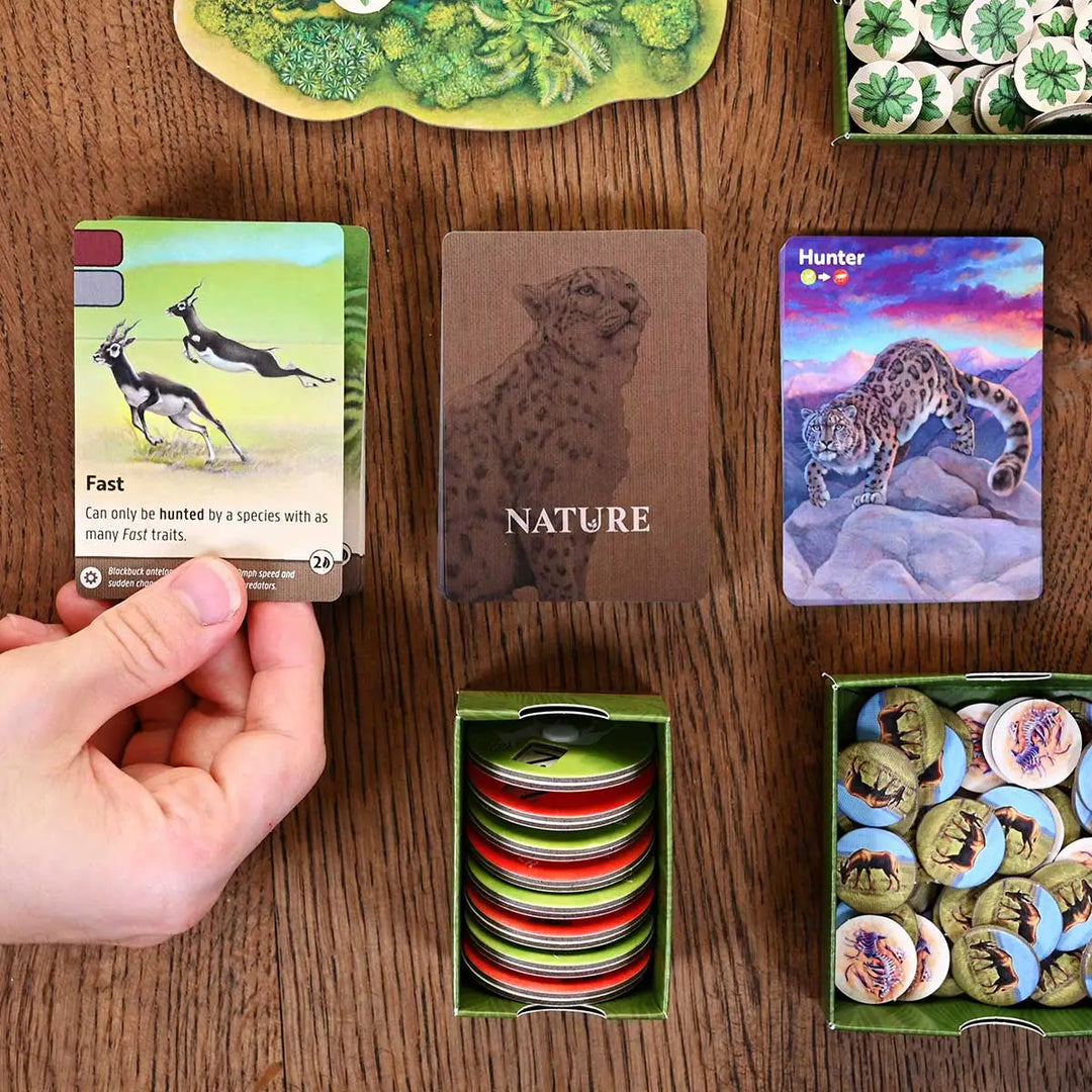 Nature (EN) - North Star Games - Board Games
