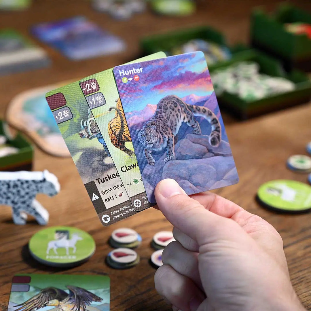 Nature (EN) - North Star Games - Board Games