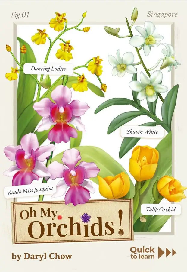 Oh my Orchids! (EN) - Origame - Board Games