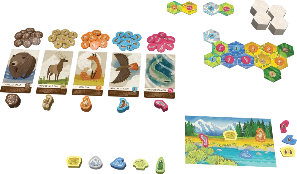 Cascadia: Junior (EN) - Flatout Games - Board Games
