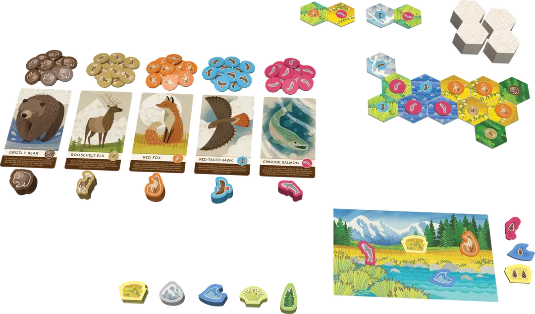 Cascadia: Junior (EN) - Flatout Games - Board Games