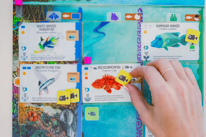 Finspan (EN) - Stonemaier Games - Board Games